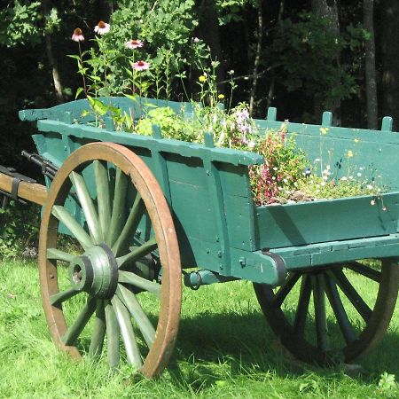Camping La Vallee Verte Ambert Zewnętrze zdjęcie