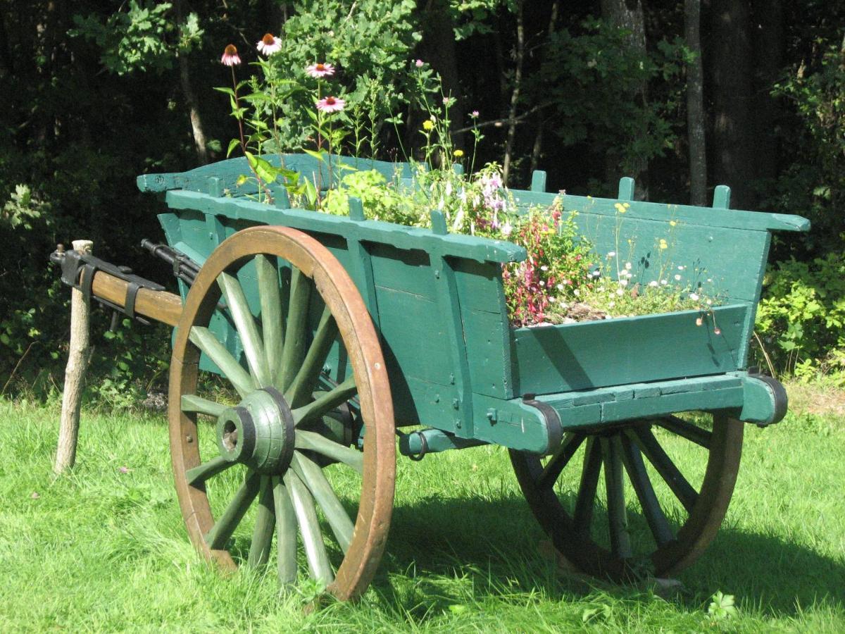 Camping La Vallee Verte Ambert Zewnętrze zdjęcie